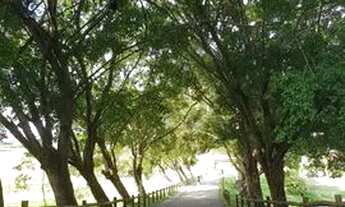 Imagem 2: ! Reserva dos lagos - Fazenda Boa Luz