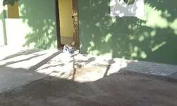 Imagem 3: Alugo com contrato no caimbé