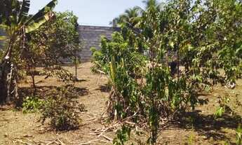 Imagem 3: Terreno a Venda localizado no Bairro Cis em Feira de Santana
