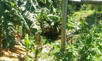 Imagem 2: Venda-se este sítio de 1 Alqueire escriturado no Município de Cachoeiro de Itapemirim/ES