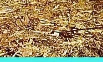 Imagem 5: Terreno residencial ou comercial de 450m² no bairro Praia Linda São Pedro da Aldeia