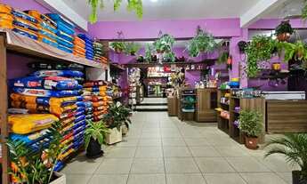 Imagem 4: Impecável casa à venda em Curitiba-PR, Campo de Santana: 3 quartos, 2 banheiros, 248m² de