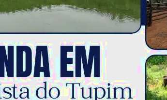 Imagem: FAZENDA EM BOA VISTA DO TUPIM - 1244 TAREFAS