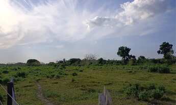 Imagem 5: Vende-se uma fazenda ?