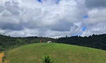 Imagem 6: Maravilhosa propriedade produtiva no sul, em pleno vapor de produção, casas e aguadas