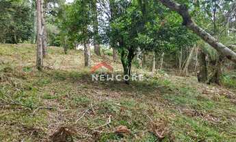 Imagem 7: Lote em Rua da Britadeira - Britadeira - São Francisco de Paula/RS