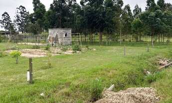 Imagem 6: LINDA CHACARA EM SANTO ANTONIO DA PATRULHA - 2.1 HECTARES