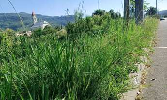 Imagem 2: Terreno bairro Joaneta, Picada Café.RS REF: 359