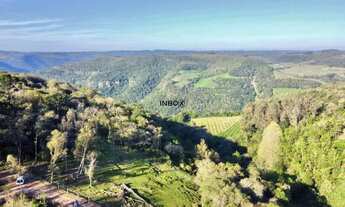 Imagem 3: INBOX CIA IMOBILILIÁRIA VENDE EM PINTO BANDEIRA - Área de terras com 2 hectares em Pinto B