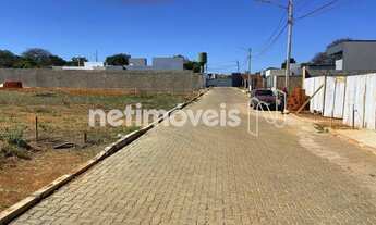 Imagem 4: Rua Alameda dos Ipês