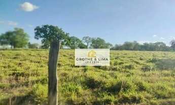 Imagem 3: Excelente fazenda à venda na região do município de Palmas-TO