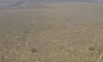 Imagem 6: Fazenda 883 h 100%plana 55 km do asfalto oportunidade