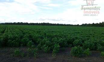 Imagem 7: Fazenda à venda, em Lucas do Rio Verde - 1004 Há R$ 112.500.000 - Zona Rural - Lucas do Ri