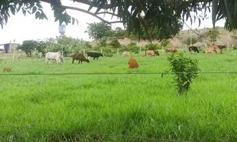 Imagem: Vendo ótimo sítio ESCRITURADO E REGISTRADO