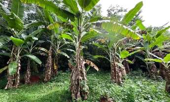 Imagem 5: Chácara com 6,8 hectares no DF