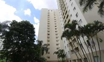 Imagem 6: Lindo Apartamento Padrão para Alugar no Bairro Continental em Osasco