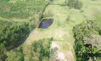 Imagem 5: Propriedade com 4ha, 2 casas, 2 galpões, piscina e açude em Triunfo