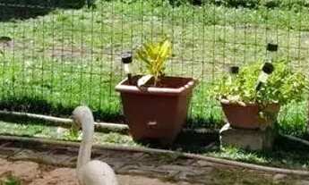 Imagem 5: Casa de condomínio em Rua Segunda Ampliação Arraial de Arembepe - Arembepe (Abrantes) - Ca