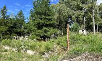 Imagem 7: CAXIAS DO SUL - Terreno Padrão - DESVIO RIZZO