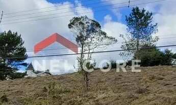 Imagem 7: Lote em Ar. Vila M - Vila Médica - Campos do Jordão/SP