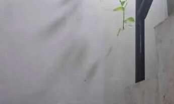 Imagem 3: Linda casa no Aglomerado da Serra rua da água