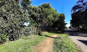 Imagem 3: Mini Sítio à Venda em Alvorada/RS