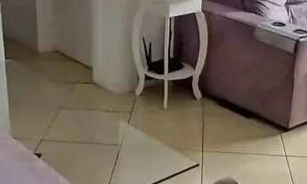 Imagem 2: Vendo Apartamento 3Dormitórios e bem localizado no bairro Areias em São José