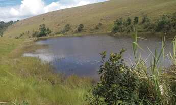 Imagem 4: 380 ta. Br 101/ Lage -Ba