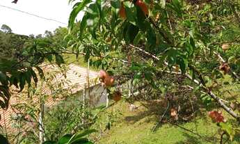 Imagem 3: Venda ou permuta chácara em Cunha