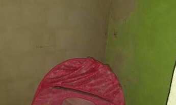 Imagem 6: Vendo ou alugo casa em vila maria