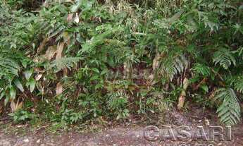 Imagem 3: Terreno Residencial à venda, Represa, Ribeirão Pires - TE3946