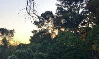 Imagem 2: Casa com 5 dormitórios à venda, 333 m² - Eldorado - Diadema/SP