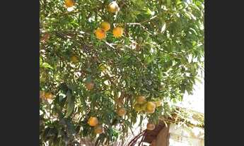 Imagem 3: Excelente Casa Cataguases semi-mobiliada