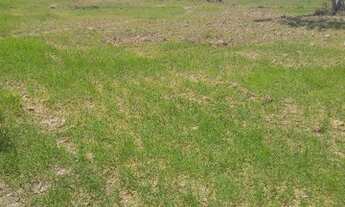 Imagem 2: Vendo ou Troco Terreno / lote com venda com preço sob consulta