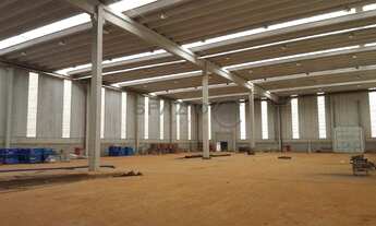 Imagem 15: Galpão - Betel - Paulínia