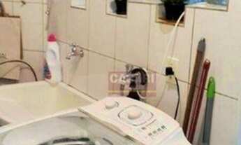 Imagem 4: Apartamento Residencial à venda, Vila Júpiter, São Bernardo do Campo - AP53547