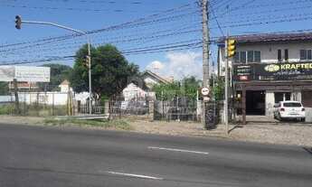 Imagem 4: Porto Alegre - Terreno Padrão - Ipanema