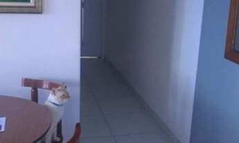 Imagem 4: Apartamento com 2 dormitórios à venda, 68 m² - Assunção - São Bernardo do Campo/SP