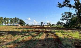 Imagem 4: Sítio à venda, 128260 m² por R$ 2.000.000 - Ribeirão Preto/SP