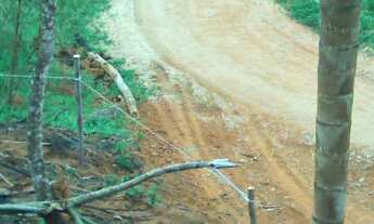 Imagem 5: Vende-se terreno em igarata 1.179m²