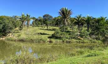 Imagem 6: Fazenda 25 alqueires em Cocalzinho - Go