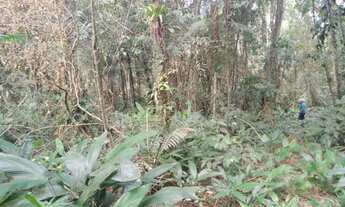 Imagem: Vende se terreno em juquitiba