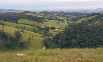 Imagem 7: Fazenda com casa sede e casa de caseiro à venda