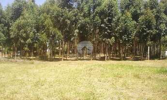 Imagem 3: Imbituba - Terreno Padrão - São Tomaz