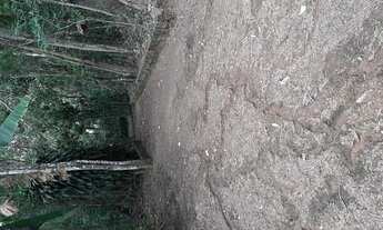 Imagem 3: ENCONTRE SUA CHACARA LINDA COM NOSSA AJUDA