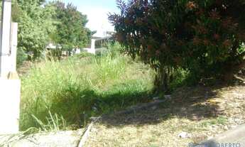 Imagem 4: TERRENO - BOSQUE DOS EUCALIPTOS - SP