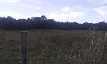 Imagem 5: Terreno em Branquinha