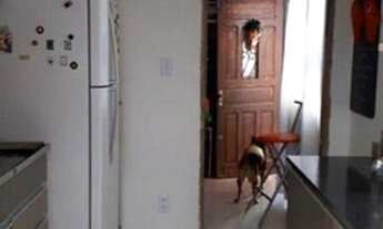 Imagem 3: Casa com 1 dormitório à venda, 120 m² - Vila Humaitá - Santo André/SP