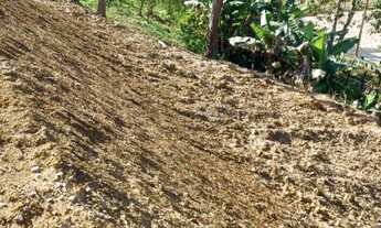 Imagem 7: Lote no centro de Antônio Carlos-SC