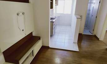 Imagem 3: Apartamento 2/4 Bairro Borboleta